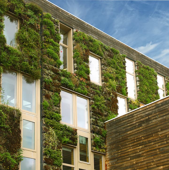 immobilier-durable-environnement-ecologie